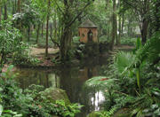 Lage Park in Rio de Janeiro