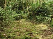 Parque Nacional da Serra da Bocaina