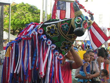 Salvador Carnival Picture 3