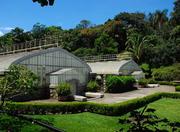 Botanical Garden of São Paulo