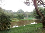 Carmo Park in Sao Paulo