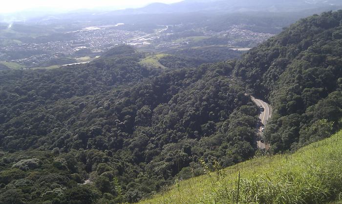 Jaraguá State Park in São Paulo