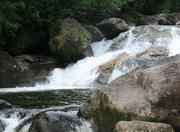 Juréia Itatins Ecological Station in São Paulo