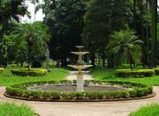 Parque Jardim da Luz