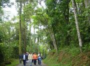 Serra da Cantareira State Park - São Paulo